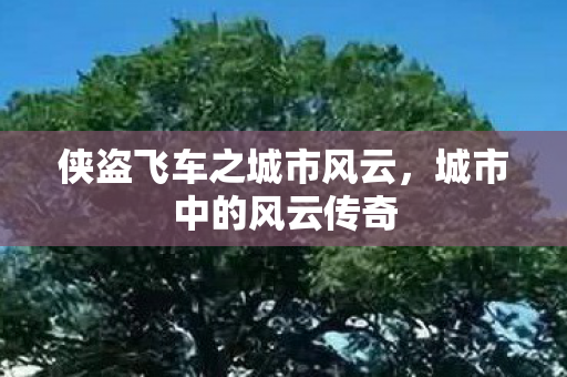 侠盗飞车之城市风云,城市中的风云传奇 侠盗飞车之城市风云,城市中的风云传奇