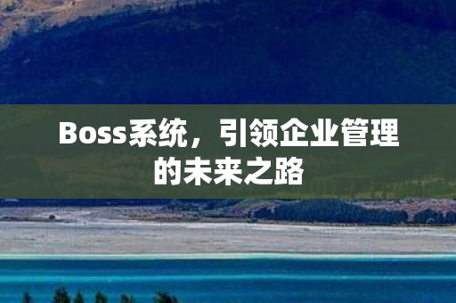 Boss系统,引领企业管理的未来之路 Boss系统,引领企业管理的未来之路