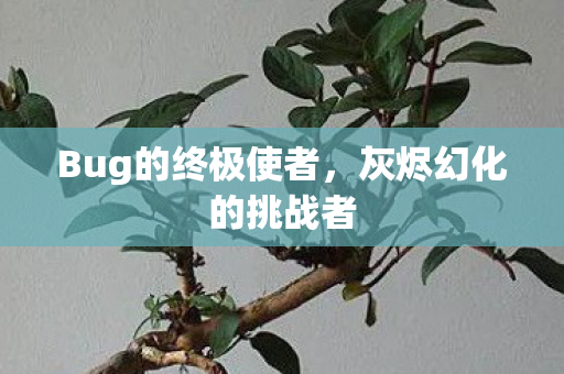 Bug的终极使者，灰烬幻化的挑战者