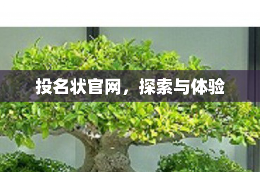 投名状官网,探索与体验 投名状官网,探索与体验