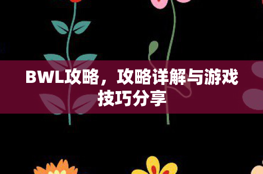 BWL攻略，攻略详解与游戏技巧分享