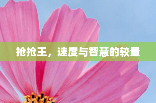 抢抢王,速度与智慧的较量 抢抢王,速度与智慧的较量