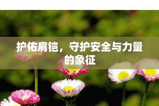 护佑肩铠，守护安全与力量的象征