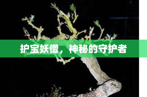 护宝妖僧,神秘的守护者 护宝妖僧,神秘的守护者