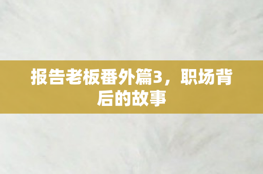 报告老板番外篇3,职场背后的故事 报告老板番外篇3,职场背后的故事