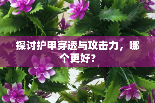 探讨护甲穿透与攻击力，哪个更好？