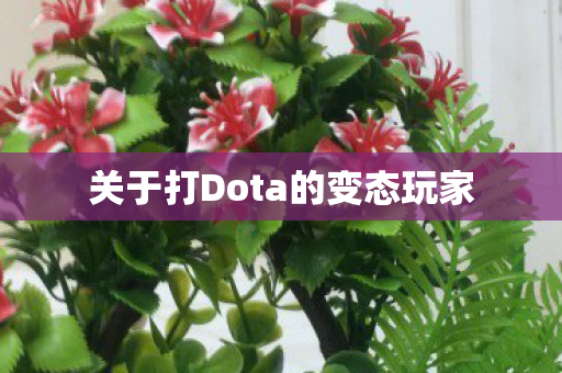 关于打Dota的变态玩家