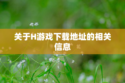 关于H游戏下载地址的相关信息