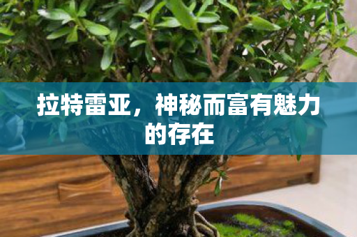 拉特雷亚,神秘而富有魅力的存在 拉特雷亚,神秘而富有魅力的存在