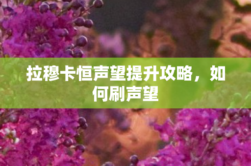 拉穆卡恒声望提升攻略，如何刷声望