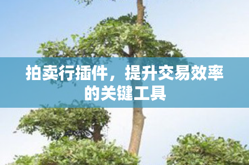 拍卖行插件,提升交易效率的关键工具 拍卖行插件,提升交易效率的关键工具