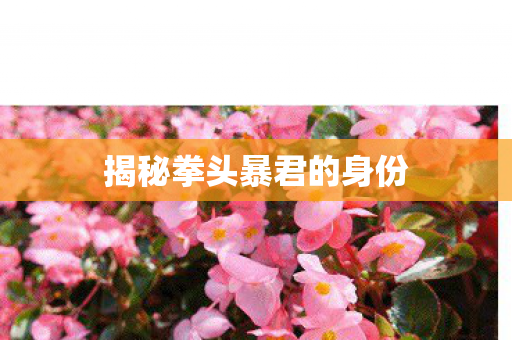 揭秘拳头暴君的身份