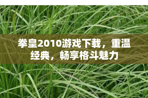 拳皇2010游戏下载,重温经典,畅享格斗魅力 拳皇2010游戏下载,重温经典,畅享格斗魅力
