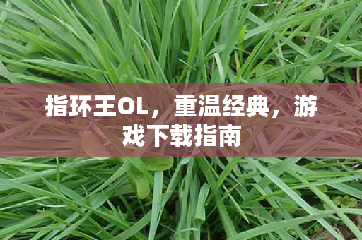 指环王OL,重温经典,游戏下载指南 指环王OL,重温经典,游戏下载指南