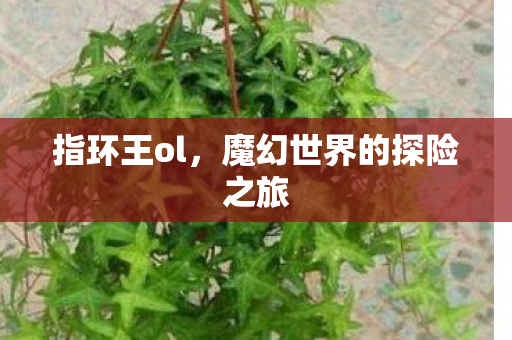 指环王ol，魔幻世界的探险之旅