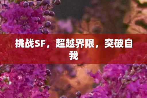 挑战SF,超越界限,突破自我 挑战SF,超越界限,突破自我