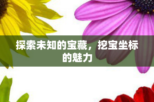 探索未知的宝藏,挖宝坐标的魅力 探索未知的宝藏,挖宝坐标的魅力