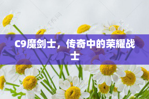 C9魔剑士，传奇中的荣耀战士