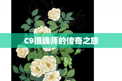 C9摄魂师的传奇之旅