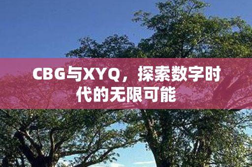 CBG与XYQ，探索数字时代的无限可能
