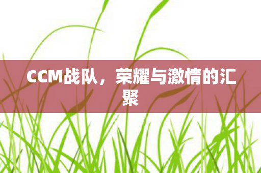 CCM战队,荣耀与激情的汇聚 CCM战队,荣耀与激情的汇聚