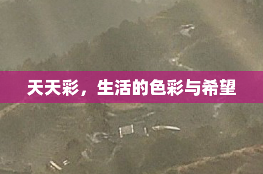 天天彩，生活的色彩与希望