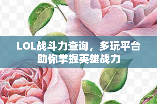 LOL战斗力查询，多玩平台助你掌握英雄战力