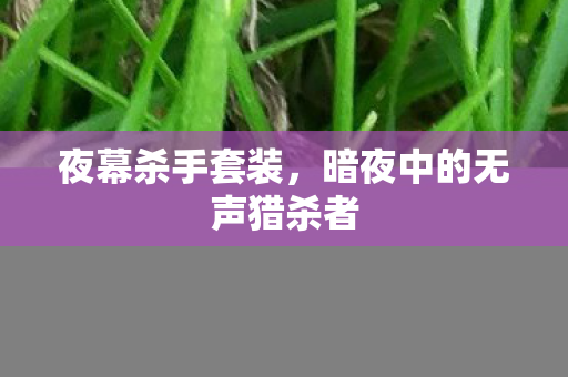 夜幕杀手套装，暗夜中的无声猎杀者