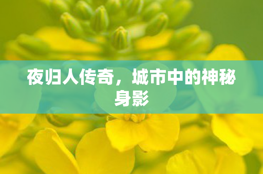 夜归人传奇，城市中的神秘身影