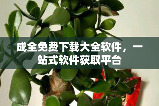成全免费下载大全软件，一站式软件获取平台