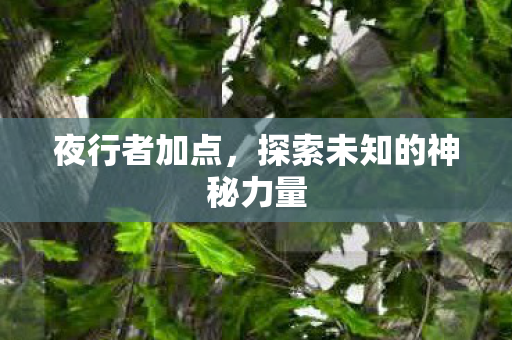 夜行者加点，探索未知的神秘力量