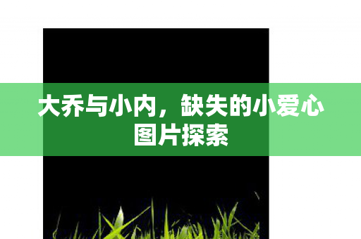 大乔与小内，缺失的小爱心图片探索