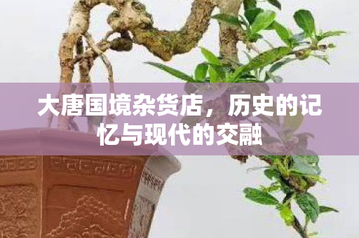 大唐国境杂货店,历史的记忆与现代的交融 大唐国境杂货店,历史的记忆与现代的交融