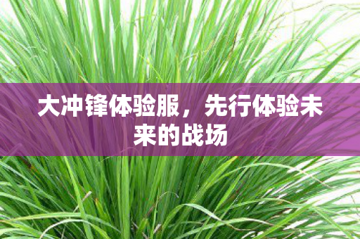 大冲锋体验服，先行体验未来的战场