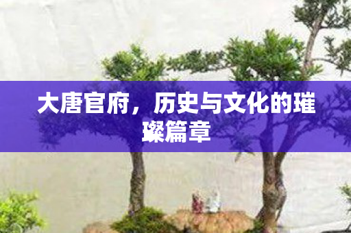 大唐官府,历史与文化的璀璨篇章 大唐官府,历史与文化的璀璨篇章