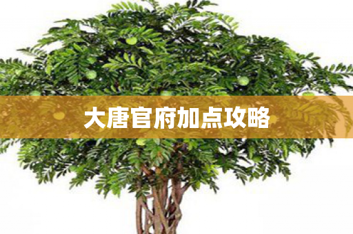 大唐官府加点攻略