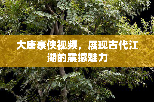 大唐豪侠视频,展现古代江湖的震撼魅力 大唐豪侠视频,展现古代江湖的震撼魅力