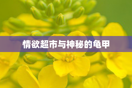 情欲超市与神秘的龟甲