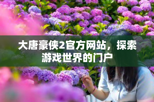 大唐豪侠2官方网站，探索游戏世界的门户