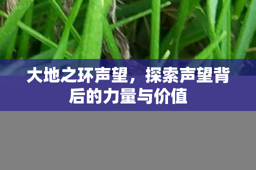 大地之环声望，探索声望背后的力量与价值