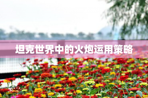 坦克世界中的火炮运用策略