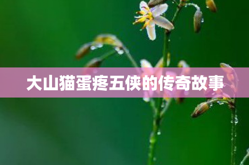 大山猫蛋疼五侠的传奇故事 大山猫蛋疼五侠的传奇故事