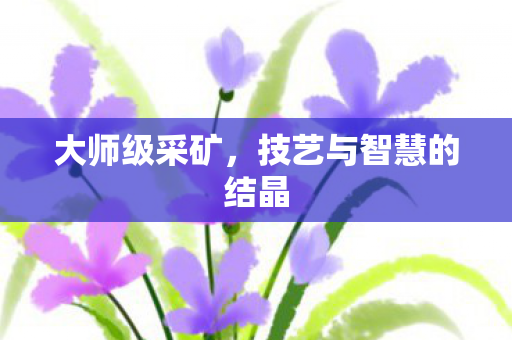 大师级采矿,技艺与智慧的结晶 大师级采矿,技艺与智慧的结晶