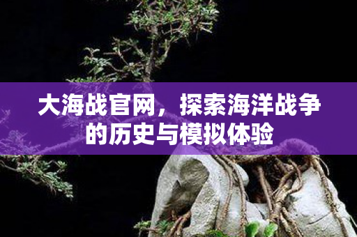 大海战官网，探索海洋战争的历史与模拟体验