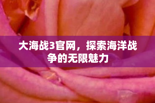 大海战3官网，探索海洋战争的无限魅力