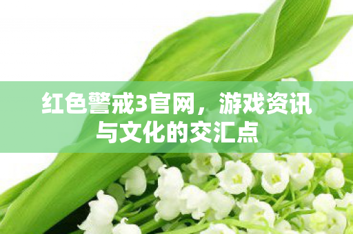 红色警戒3官网，游戏资讯与文化的交汇点