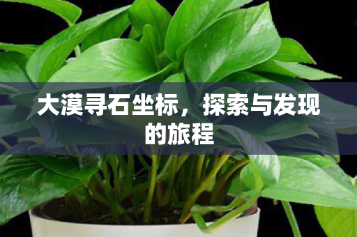 大漠寻石坐标，探索与发现的旅程