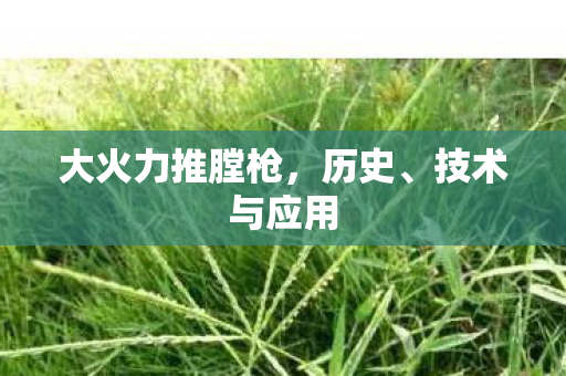 大火力推膛枪,历史、技术与应用 大火力推膛枪,历史、技术与应用