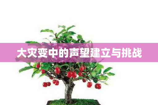 大灾变中的声望建立与挑战 大灾变中的声望建立与挑战