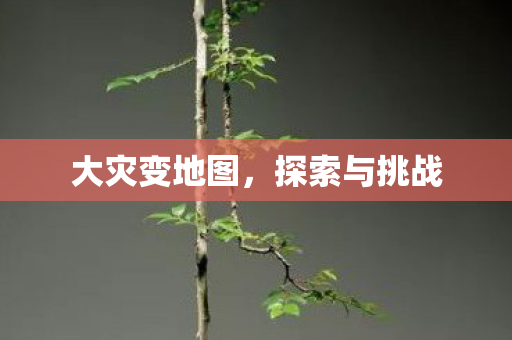 大灾变地图，探索与挑战